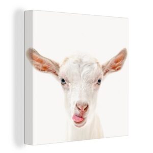 OneMillionCanvasses® Leinwandbild Ziege - Porträt - Junge - Mädchen - Kinder - Weiß, (1 St), Leinwand Bilder für Wohnzimmer Schlafzimmer