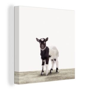 OneMillionCanvasses® Leinwandbild Ziege - Tiere - Kinder - Jungen - Mädchen, (1 St), Leinwand Bilder für Wohnzimmer Schlafzimmer