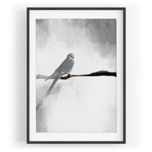 Sinus Art Wandbild Vogel Motiv grau Berge Horizont exklusives Design