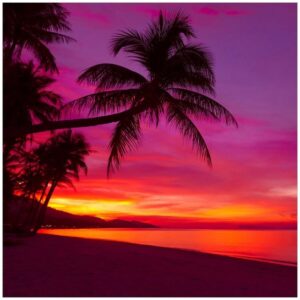 Wallario Möbelfolie Abendrot unter Palmen - pinker Himmel am Strand