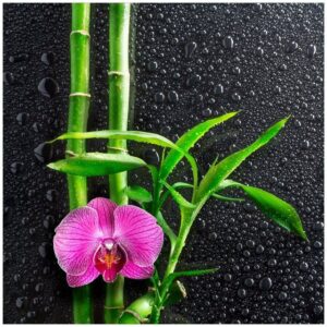 Wallario Möbelfolie Bambus und pinke Orchidee auf schwarzem Glas mit Regentropfen