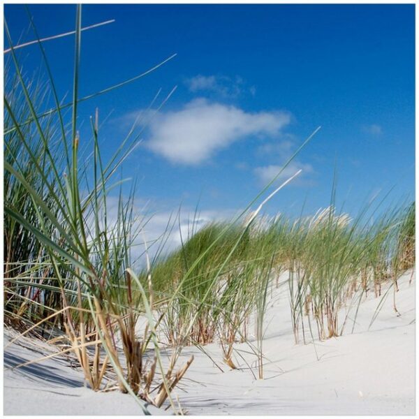 Wallario Möbelfolie Düne am Strand unter blauem Himmel