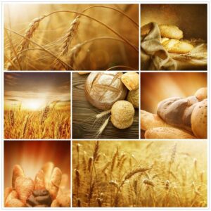 Wallario Möbelfolie Getreide und Brotsorten aus Weizen