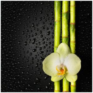 Wallario Möbelfolie Grüne Orchidee mit Bambus auf schwarz - Regentropfen