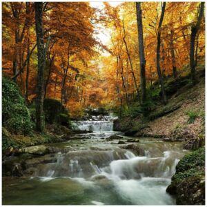 Wallario Möbelfolie Kleiner Bach über Steine im Herbstwald