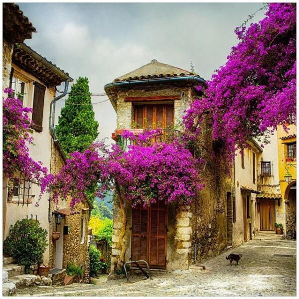 Wallario Möbelfolie Malerische Stadt in der Provence mit bunten Blumen