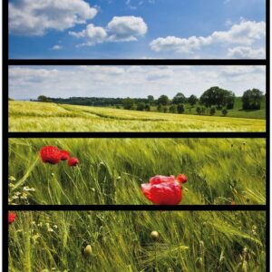 Wallario Möbelfolie Mohnblumenwiese auf grüner Wiese unter blauem Himmel