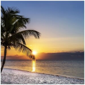 Wallario Möbelfolie Palme am Strand - Sonnenuntergang über dem Meer