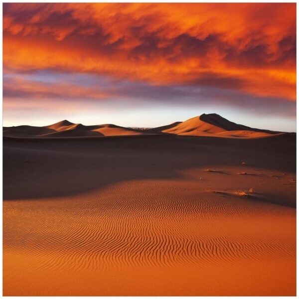 Wallario Möbelfolie Sahara Wüste II - Sanddünen im Sonnenuntergang