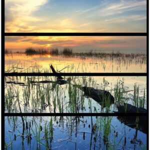 Wallario Möbelfolie Schilf am Abend - Sonnenuntergang über der Seelandschaft