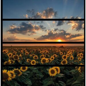 Wallario Möbelfolie Sonnenblumenwiese vor Wolken mit Sonnenuntergang