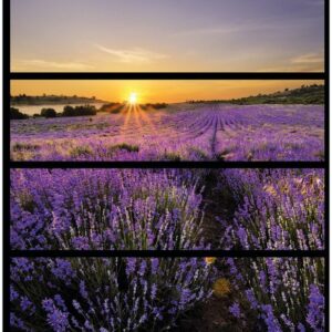Wallario Möbelfolie Sonnenuntergang über dem Lavendel