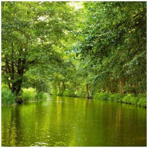 Wallario Möbelfolie Spreewald in Brandenburg grüne Wälder und Spiegelungen im Wasser