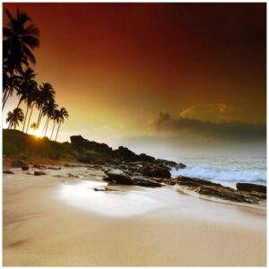 Wallario Möbelfolie Sri Lanka - Palmenstrand mit Sonnenuntergang