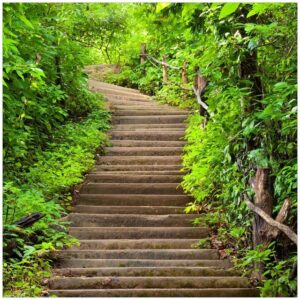 Wallario Möbelfolie Steintreppe im Wald