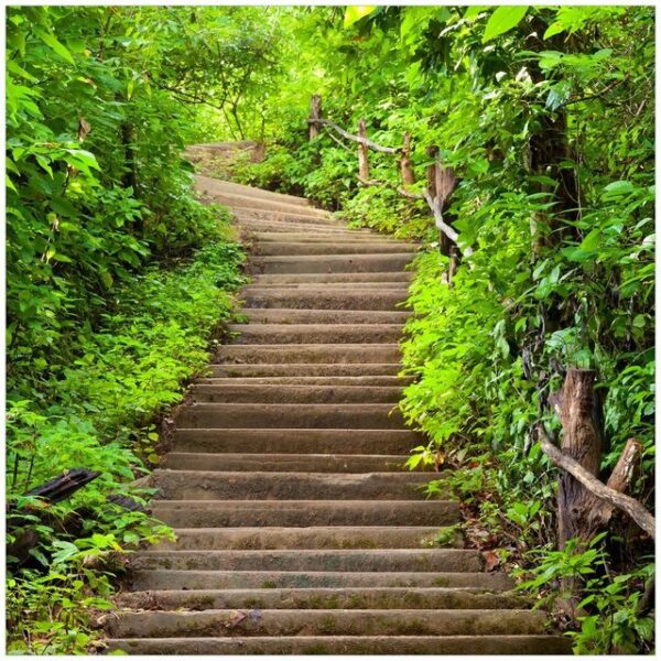 Wallario Möbelfolie Steintreppe im Wald