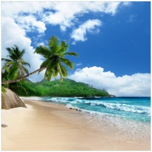 Wallario Möbelfolie Urlaub auf den Seychellen unter Palmen am Sandstrand