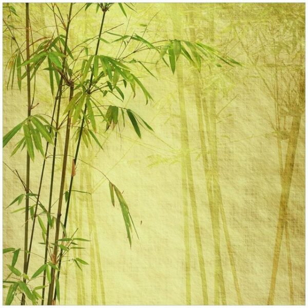 Wallario Möbelfolie Antiker Bambus