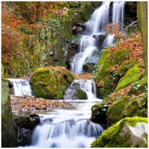 Wallario Möbelfolie Bach im Wald