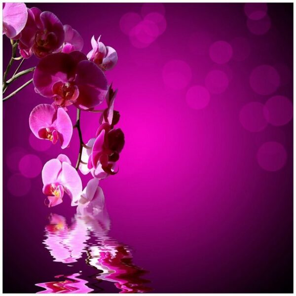 Wallario Möbelfolie Rosafarbene Orchidee Blüten in pink