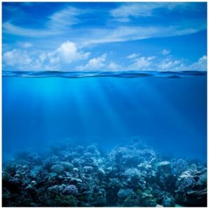 Wallario Möbelfolie Unterwasserwelt Meer