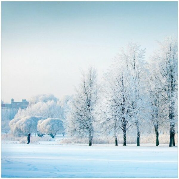 Wallario Möbelfolie Verschneite Bäume in einer Winterlandschaft