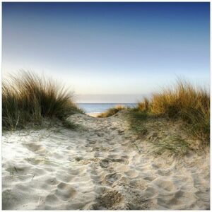 Wallario Möbelfolie Weg durch die Dünen zum Strand am Meer