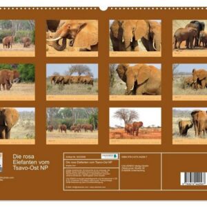 CALVENDO Wandkalender Die rosa Elefanten vom Tsavo-Ost NP (Premium, hochwertiger DIN A2 Wandkalender 2023, Kunstdruck in Hochglanz)