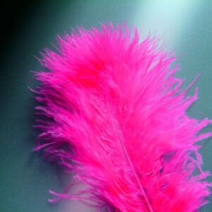 Glorex Marabufedern pink ca. 15 Stück