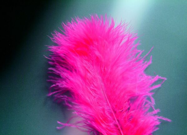 Glorex Marabufedern pink ca. 15 Stück