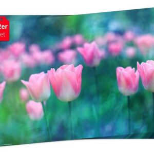 Platzset, Tischset Frühling, Ostern & Blumen - Rosa Tulpen, Tischsetmacher, (aus Naturpapier in Aufbewahrungsmappe für tolles Ambiente, 12-St., 44 x 32 cm / rosa), Tischdeko Made in Germany
