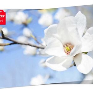 Platzset, Tischset Frühling, Ostern & Blumen - Weiße Apfelblüte, Tischsetmacher, (aus Naturpapier in Aufbewahrungsmappe für tolles Ambiente, 12-St., 44 x 32 cm / weiß-blau), Tischdeko Made in Germany