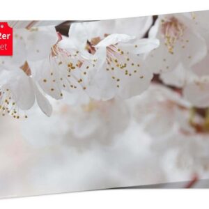 Platzset, Tischset Frühling, Ostern & Blumen - Weiße Blüten, Tischsetmacher, (aus Naturpapier in Aufbewahrungsmappe, 12-St., 44 x 32 cm / weiß), Made in Germany