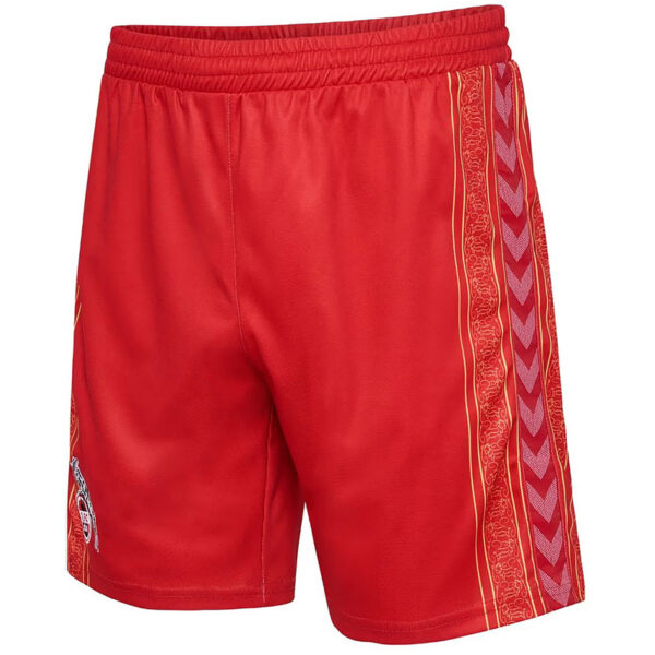 hummel 1. FC Köln Karneval Shorts 2023/24 Kinder 3062 - true red 116