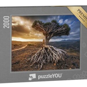 puzzleYOU Puzzle Drachenbäume auf dem Dixam-Plateau, Jemen, 2000 Puzzleteile, puzzleYOU-Kollektionen Naher Osten