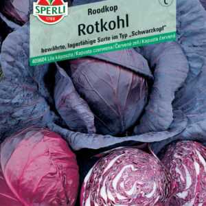 Sperli Rotkohl Roodkop