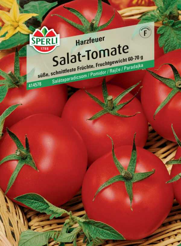 Sperli Salat-Tomate Harzfeuer F1