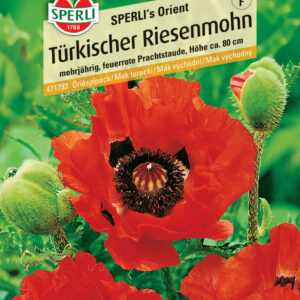 Sperli Türkischer Riesenmohn SPERLI's Orient