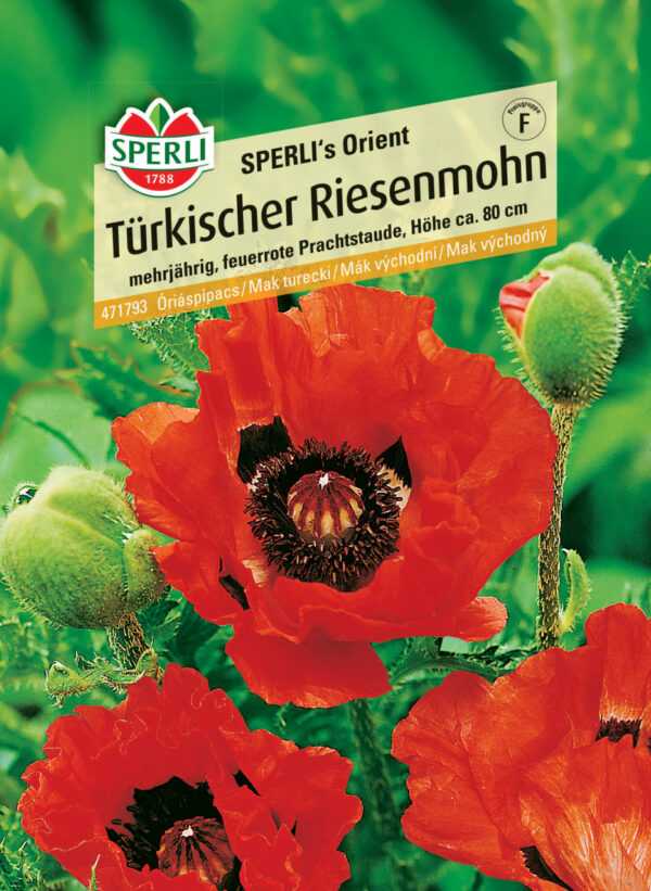 Sperli Türkischer Riesenmohn SPERLI's Orient