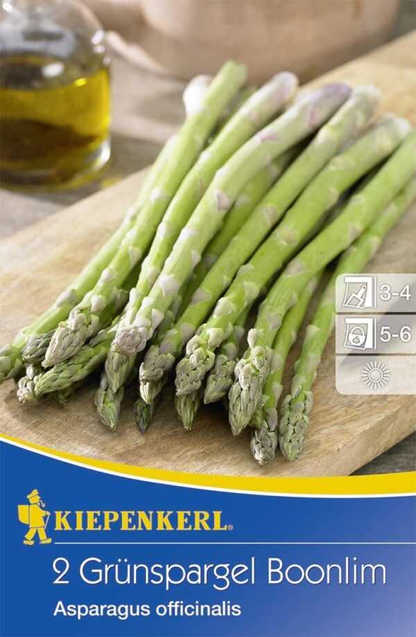 Kiepenkerl Grünspargel Boonlim Asparagus officinalis