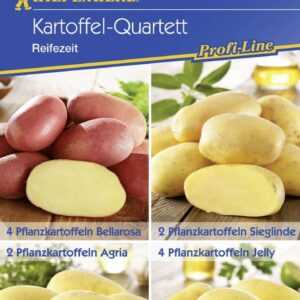 Kiepenkerl Pflanzkartoffel Quartett Reifezeit 12 Stück