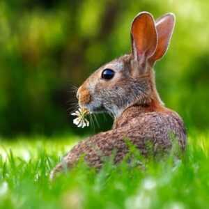 Ostern im Grünen - Willkommen im Taunus | 4 Tage