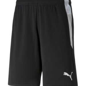 PUMA Sporthose teamLIGA Schiedsrichter Short