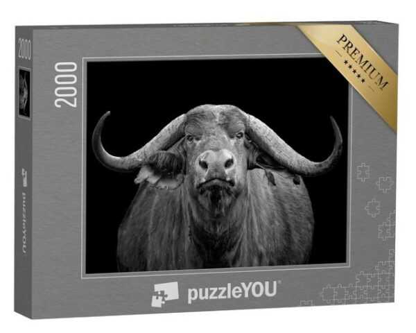 puzzleYOU Puzzle Afrikanischer Büffel, Tsavo Ost Nationalpark, 2000 Puzzleteile, puzzleYOU-Kollektionen Büffel, Tiere in Savanne & Wüste