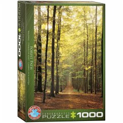 Eurographics 6000-3846 - Forest Path - Waldweg