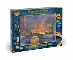 Malen nach Zahlen - Stille Nacht im Central Park