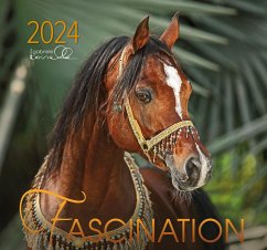 Fascination 2024