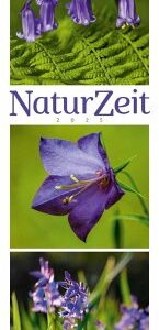 NaturZeit Triplet-Kalender 2025