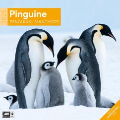 Pinguine Kalender 2025 - 30x30