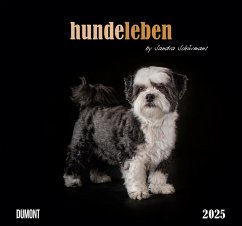 Hundeleben 2025 - DUMONT Wandkalender - mit den wichtigsten Feiertagen - Format 38